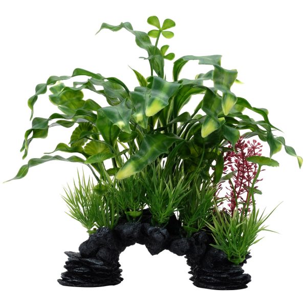 Fluval Aqualife Curly Aponogeton Plant Mix 10 inch Hot on Sale