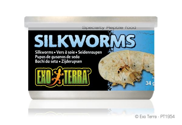 Exo Terra Silkworms 1.2 oz Fashion