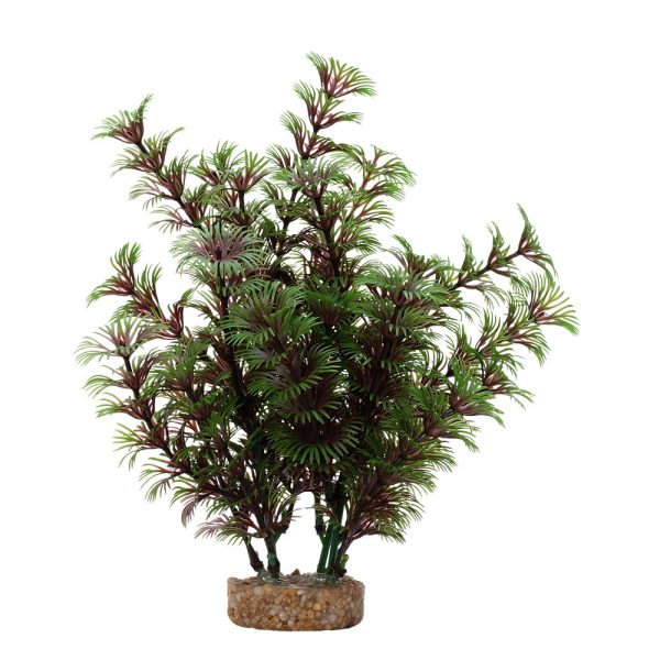 Fluval Aqualife Red Green Cabomba Plant 8 inch Fashion